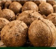 Dry Coconut