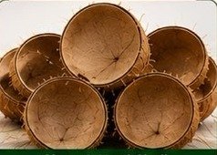 Dry Shell Coconut
