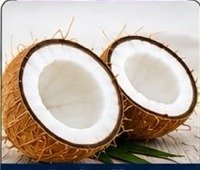 Half Coconut