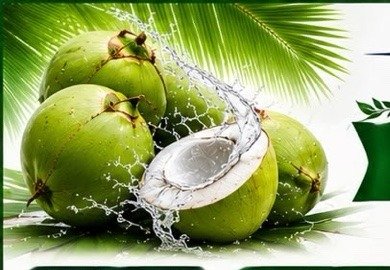Fresh green coconuts