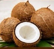 Round Coconut